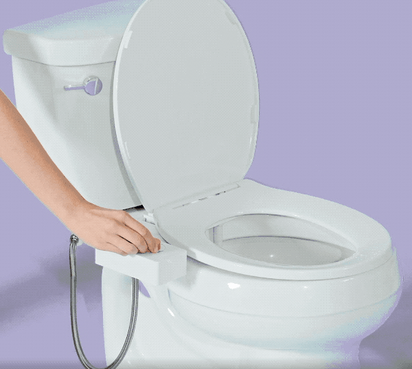 Better Butts Bidet
